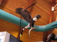 Mystery Run Aug 2015 058 : Mystery Run Aug 2015